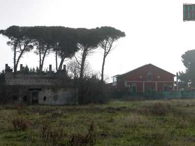 E naturalmente anche nella tenuta di famiglia, che sorgeva nell�aperta campagna adiacente il centro commerciale Bariblu di Triggiano, � possibile trovare il �ricordo� di alcuni prodotti dell�azienda